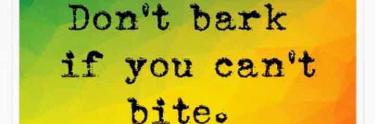 Dane Taitt banner