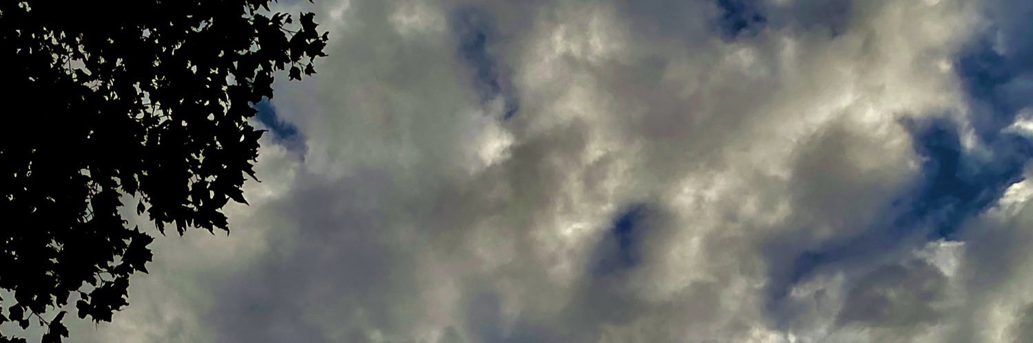 alfredostaffo's profile banner image