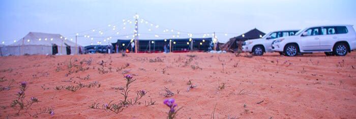 محمدالناوي's banner