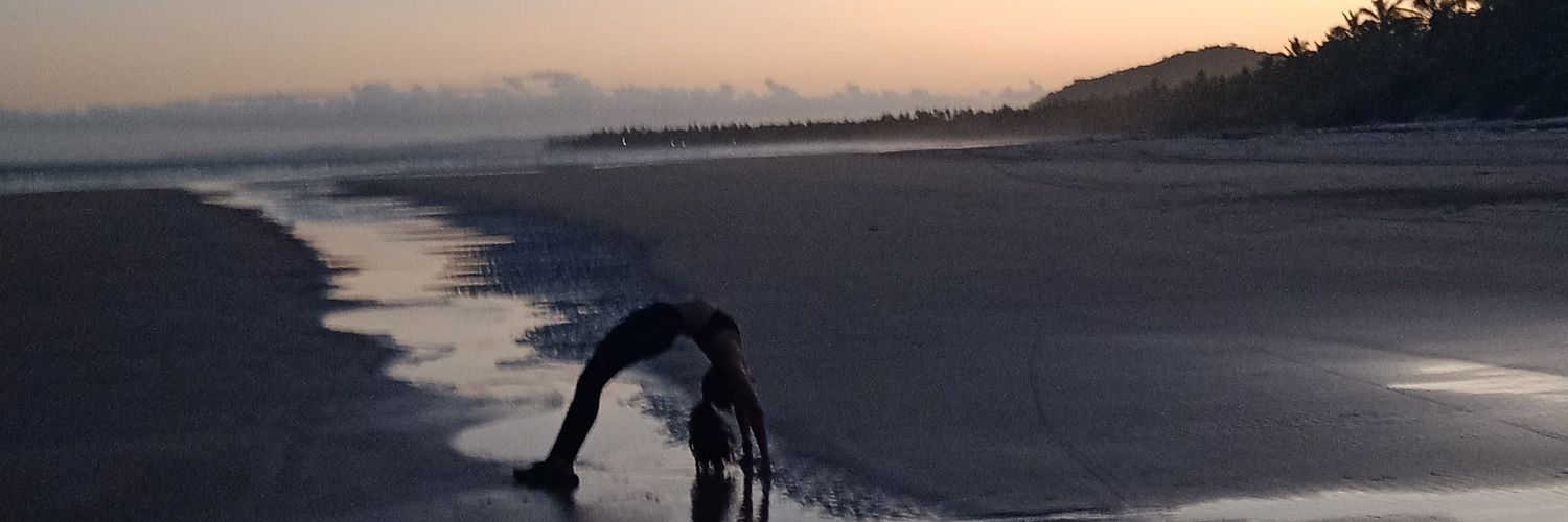 SuzaneSarno's profile banner image