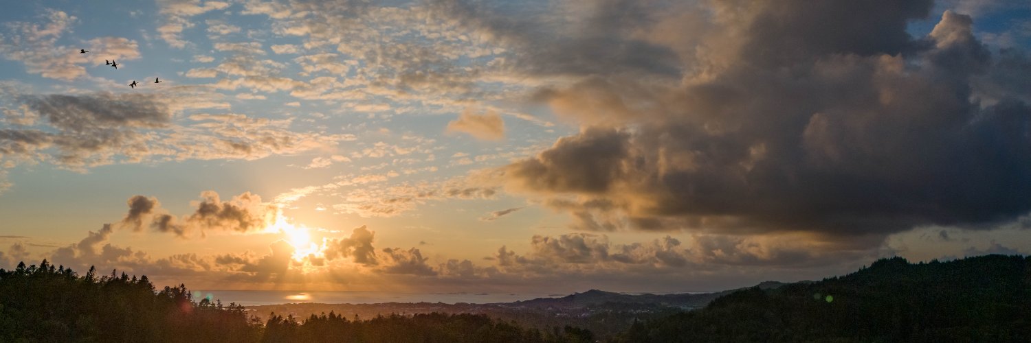 henryvoll's profile banner image