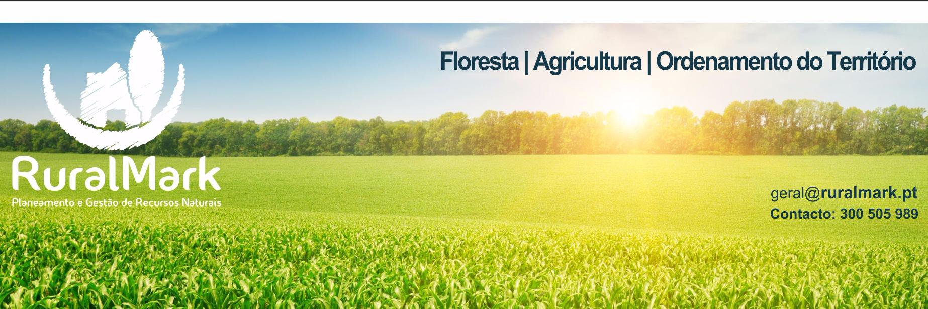 Rural_Mark's profile banner image