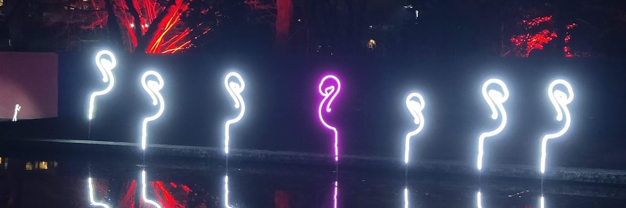 Nils Fleischhacker 🥩🔪 banner