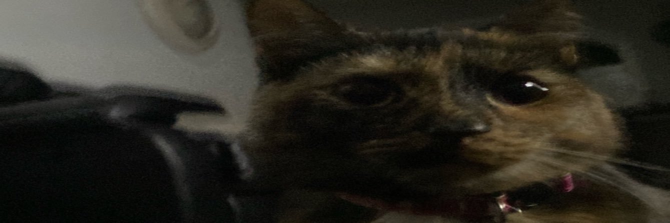 en banner