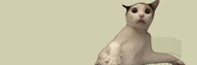 ぼぶ banner