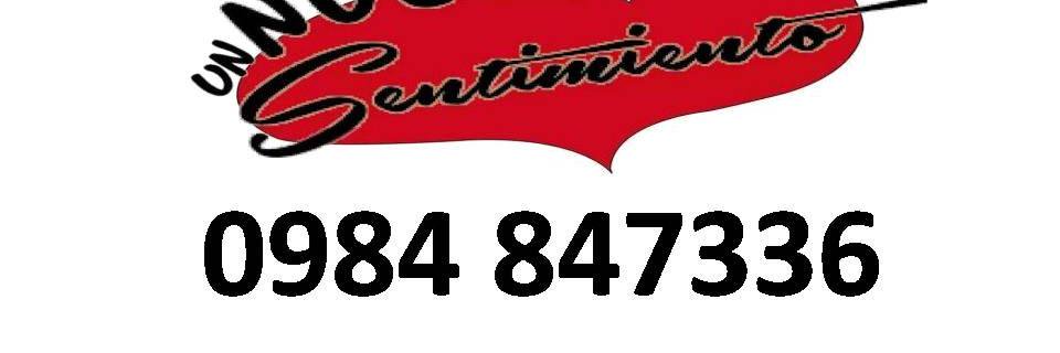 dani ryan984 847336 banner