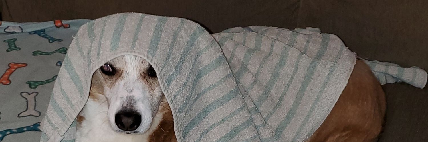 LauraSaysNada's profile banner image