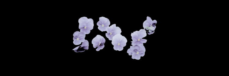 ☆ ˗ˏ⟢ ‍ ‍‍𝒎𝐲𝐫𝐝𝐝͟𝐢͟𝐧 ‍ ‍‍𓂃 ☆'s banner