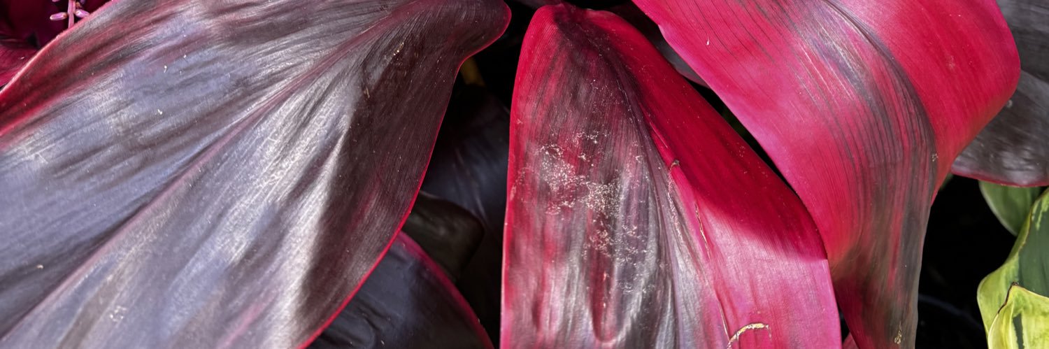getflora's profile banner image