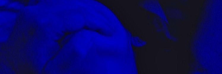 𝐁𝐋𝐔𝐄 | banner