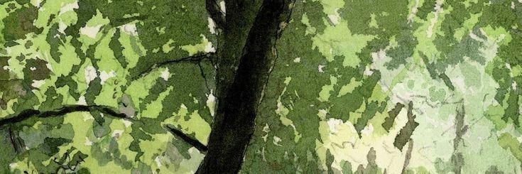 elordilvr's profile banner image