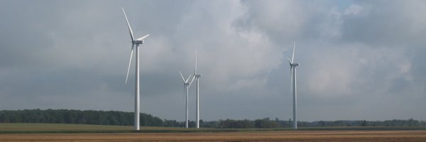 ElephantEating Profile Banner