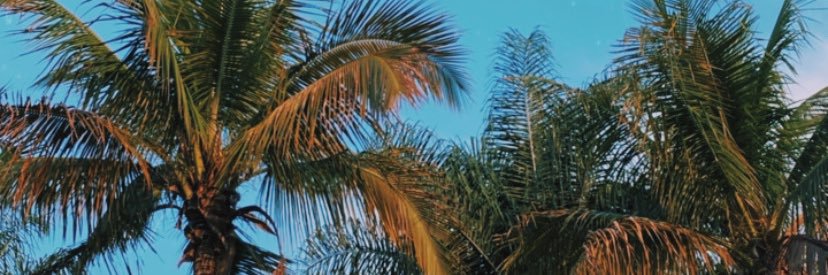 ceciliasous's profile banner image