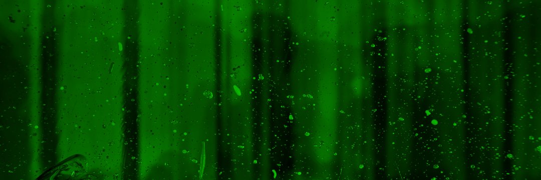 botnadamus's profile banner image