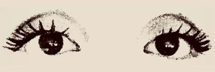 🪲 banner