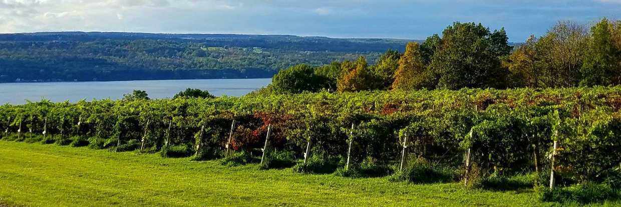 Discover the Finger Lakes banner