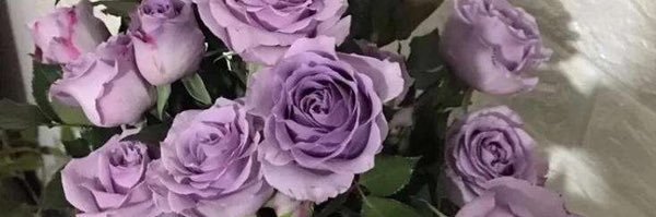 💜ྀི banner