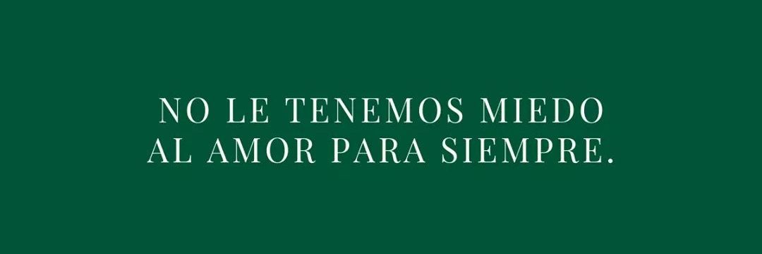 Noviazgo en santidad banner