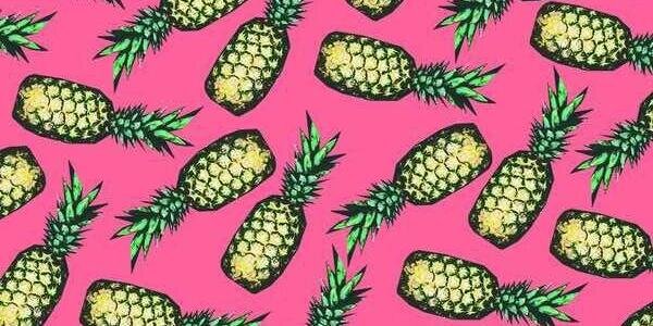 feliberisso's profile banner image