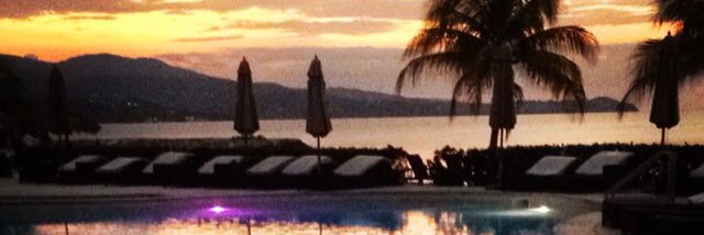 Donald Hermanson banner