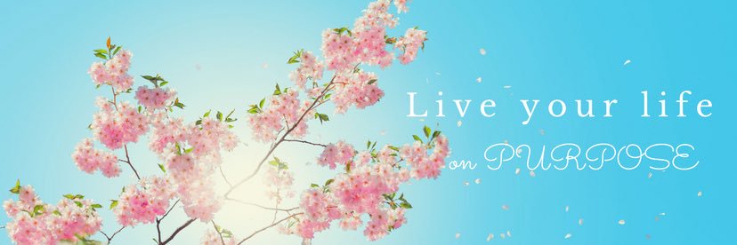 limazim's profile banner image