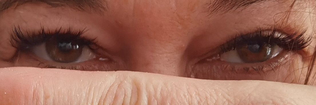 Ginger & Kali banner