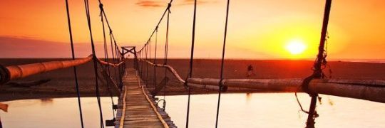 baroy_b's profile banner image