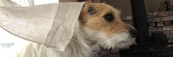 ChismMark Profile Banner