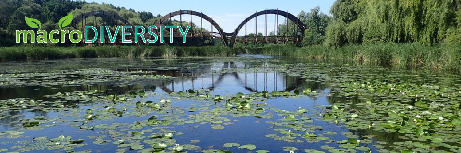 macroDIVERSITY project banner