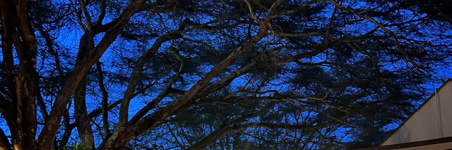 lexietrdes's profile banner image