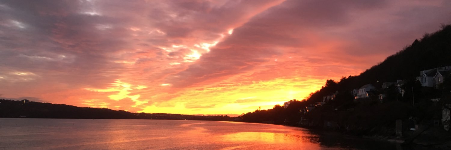 Steve Hall 🇺🇦 banner