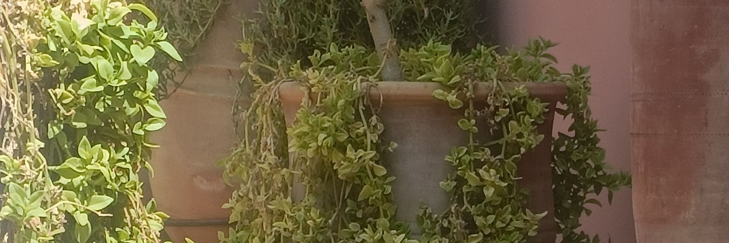 SoundClip3's profile banner image