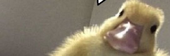 물레 banner