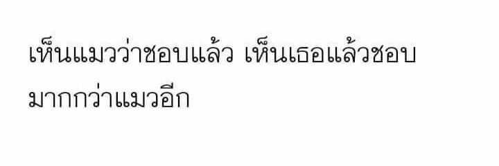 ิิ banner