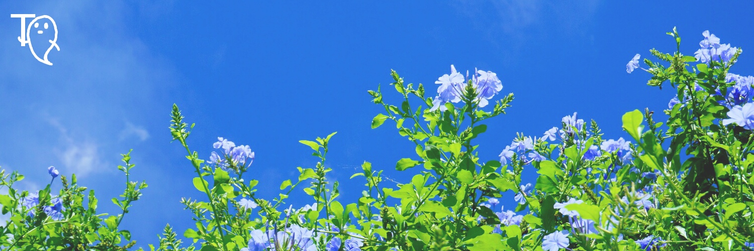 __tghost__'s profile banner image