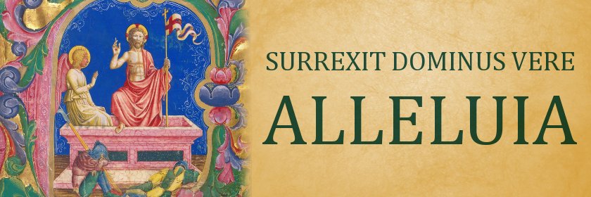 Msza Święta Trydencka banner