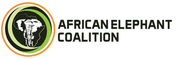 African elephant coalition banner