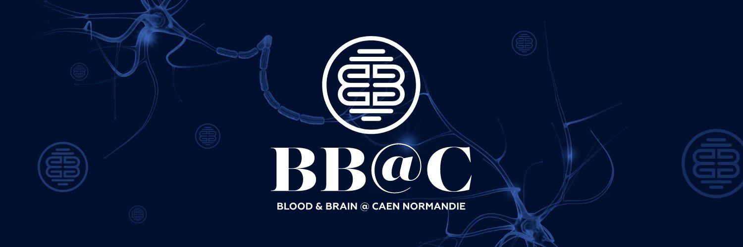 Institut BB@C's banner