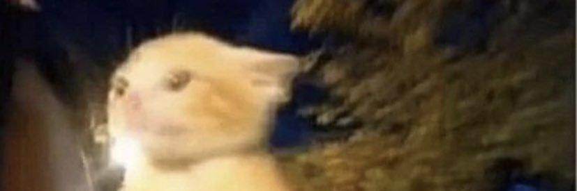 averyysmithhh's profile banner image