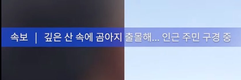 소그미🩵 banner