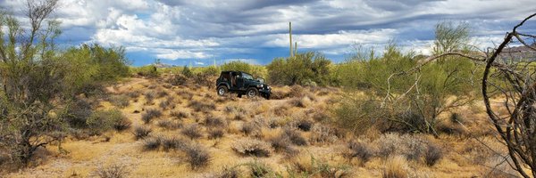 Warlizard Profile Banner