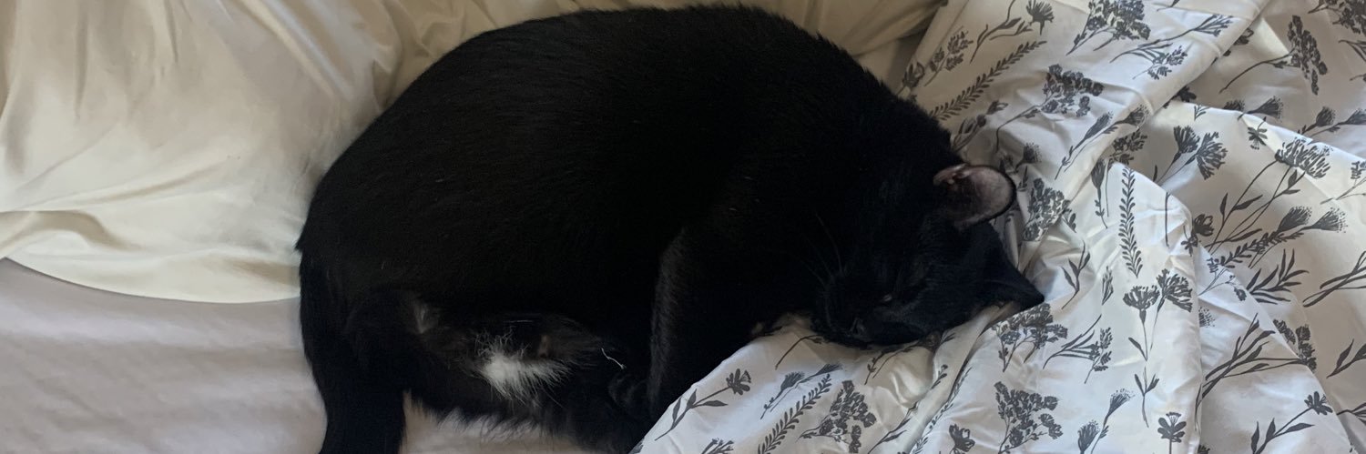 gianespoli26's profile banner image