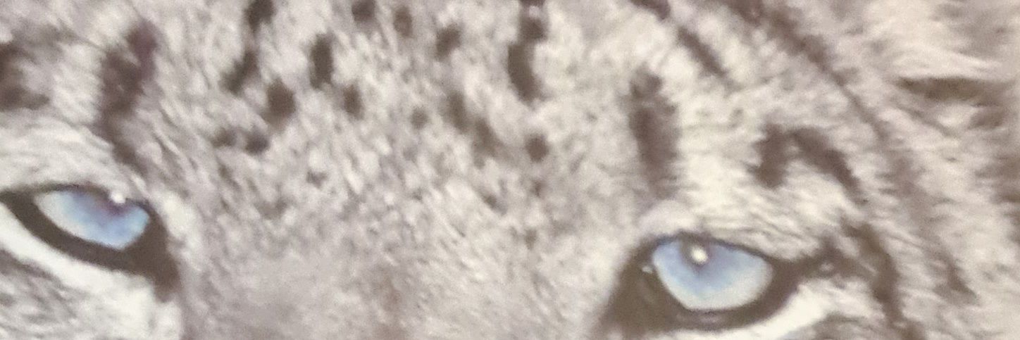 fayotami's profile banner image