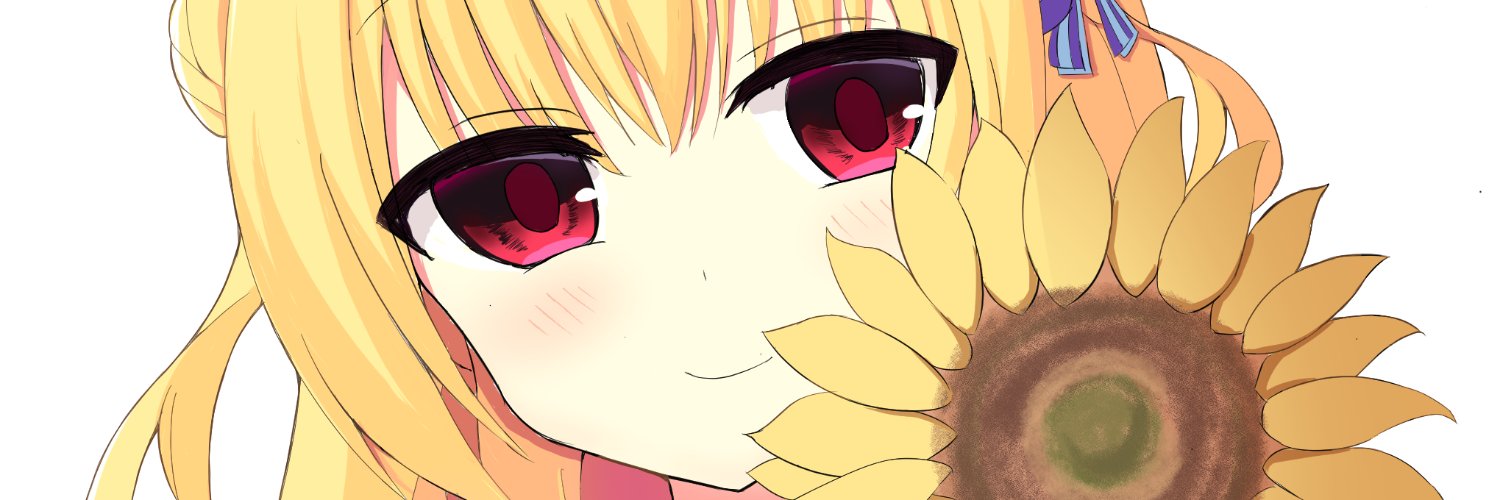 noa290's profile banner image