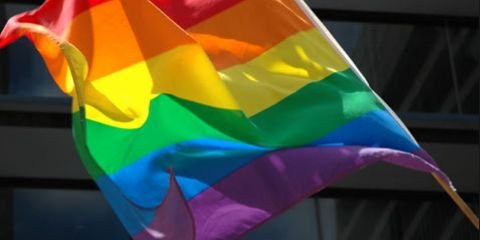 laurabarrosLM's profile banner image