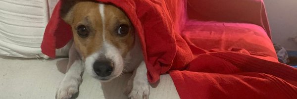 gggg45466 Profile Banner