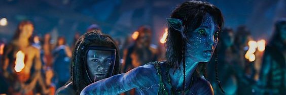 Mafer Chavez Vidal banner