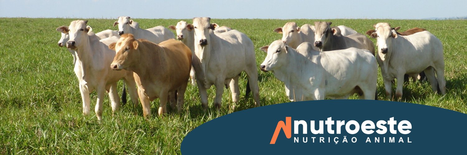 NUTROESTE's profile banner image