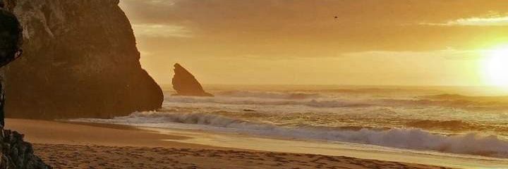 🐟ｇ𝓪Ⓑ尺ｉ𝑒𝐋 💘 banner