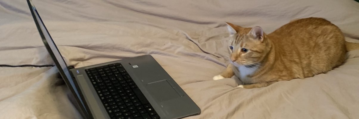 EmilyRBrooks's profile banner image